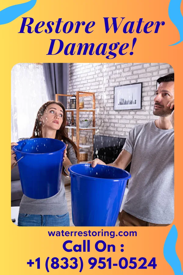 water restoration Eco Water Restoration Professionals Sedgewickville