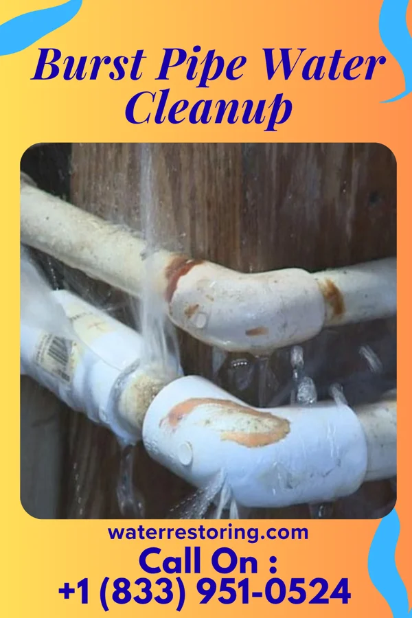 Burst Pipe Water Cleanup in Sedgewickville, MO