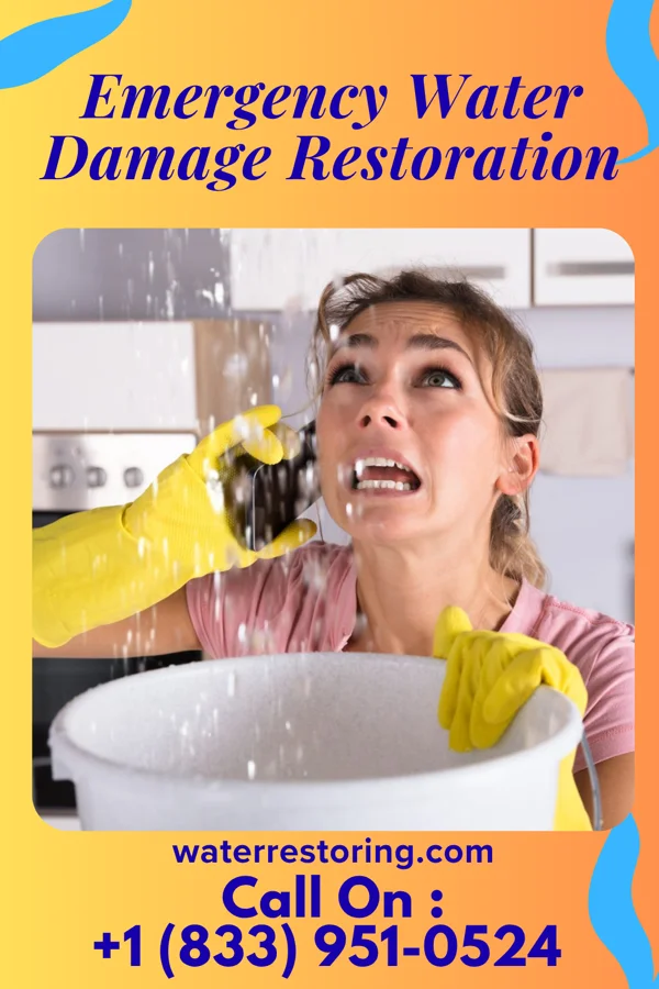 Emergency Water Damage Restoration in Sedgewickville, MO
