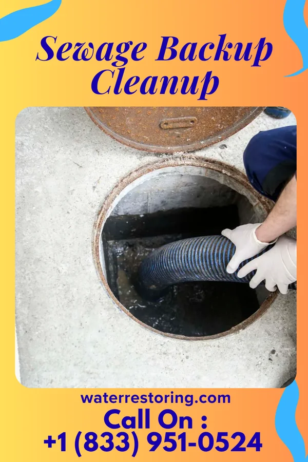 Sewage Backup Cleanup in Sedgewickville, MO