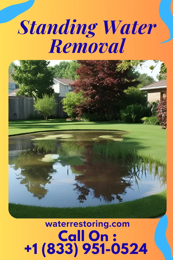 Standing Water Removal in Sedgewickville, MO